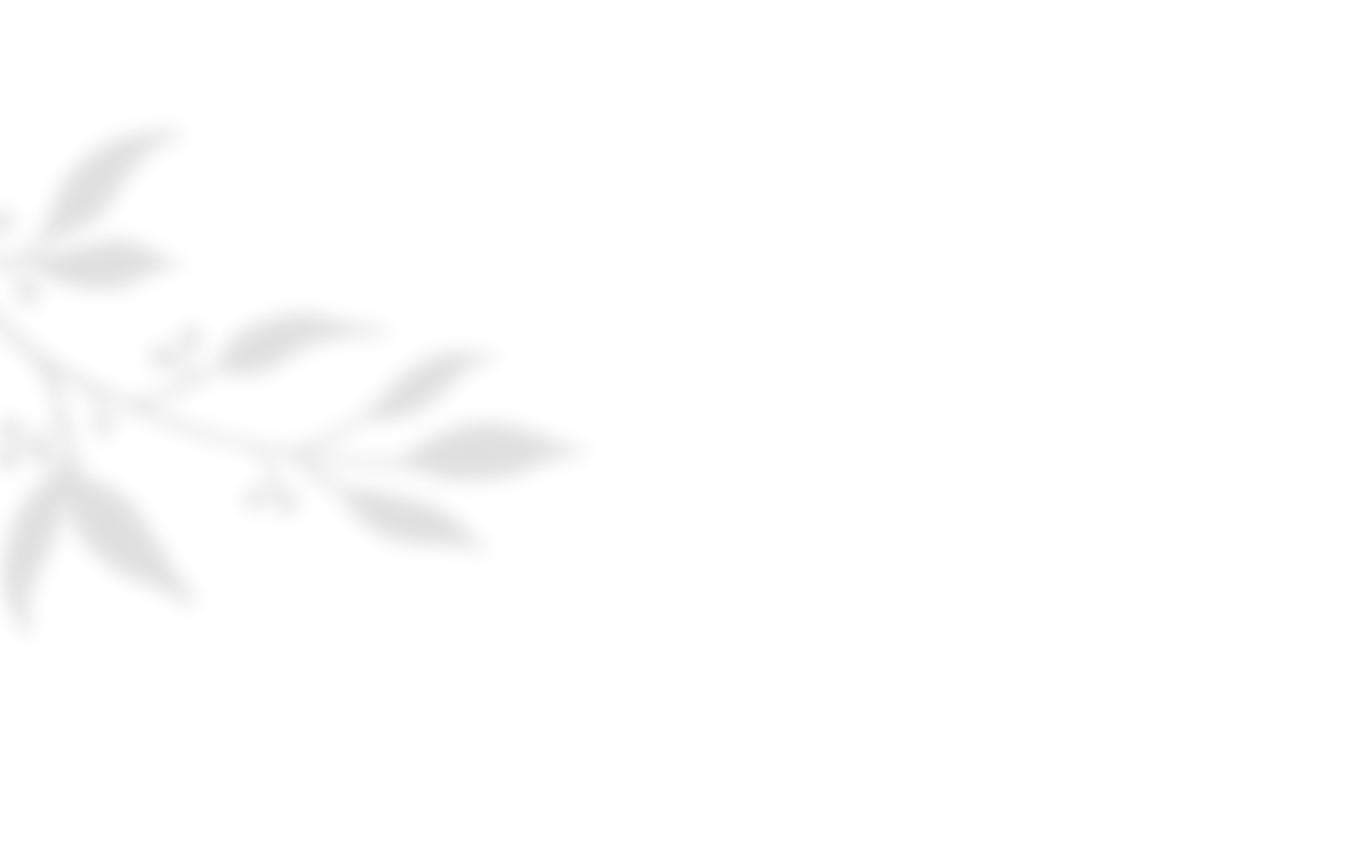 shadow_leaves_04 https://zilefti.gr/wp-content/uploads/2020/10/shadow_leaves_04.png