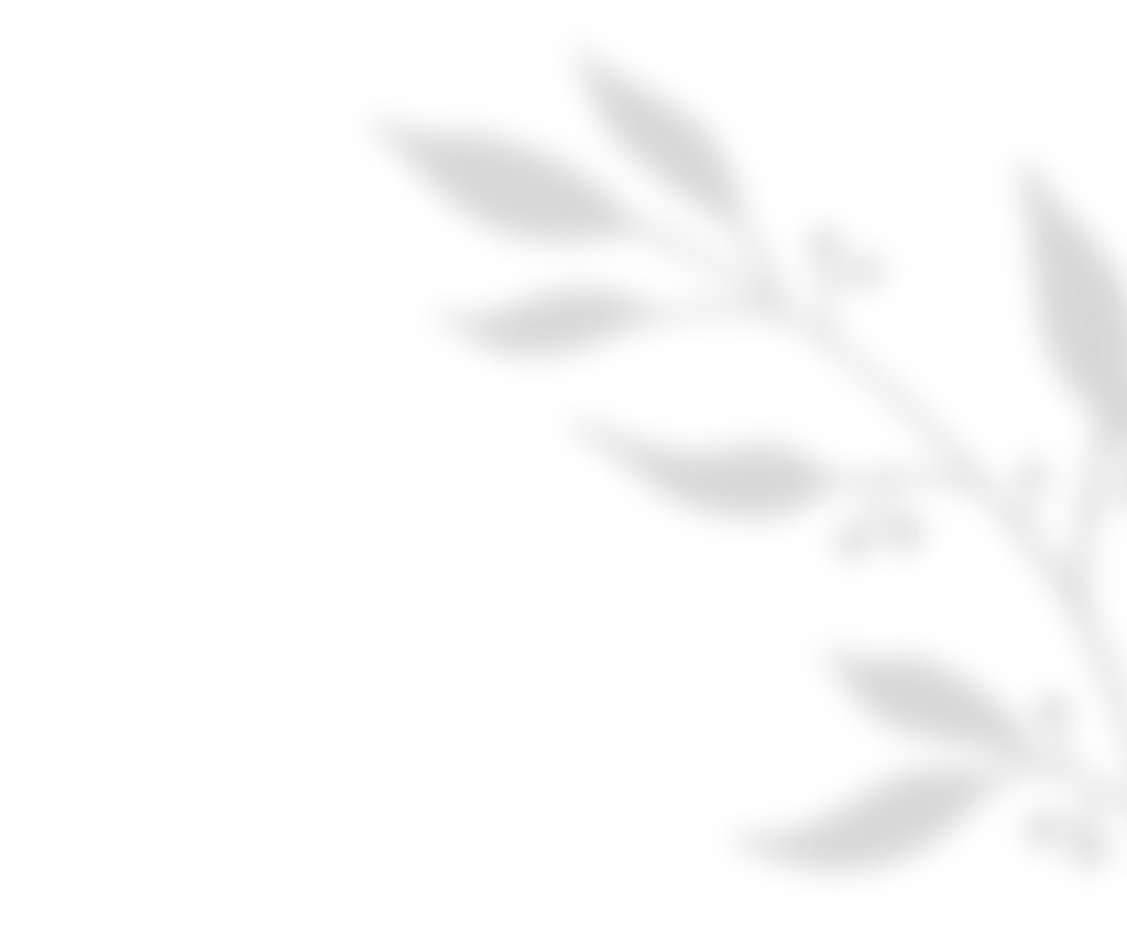 shadow_leaves_01 https://zilefti.gr/wp-content/uploads/2020/11/shadow_leaves_01.png