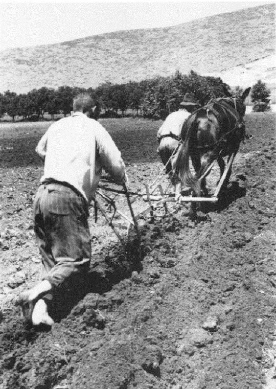 6ea12-image13 https://zilefti.gr/wp-content/uploads/2025/07/6ea12-image13.gif