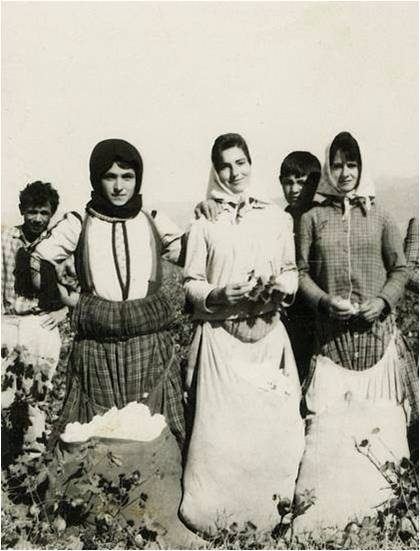 Γερούλια 10 https://zilefti.gr/wp-content/uploads/2025/07/Γερούλια-10.jpg